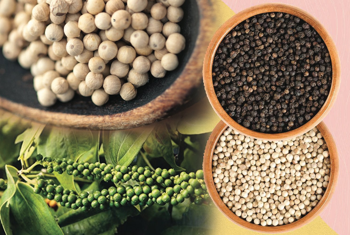 Penja White Pepper
