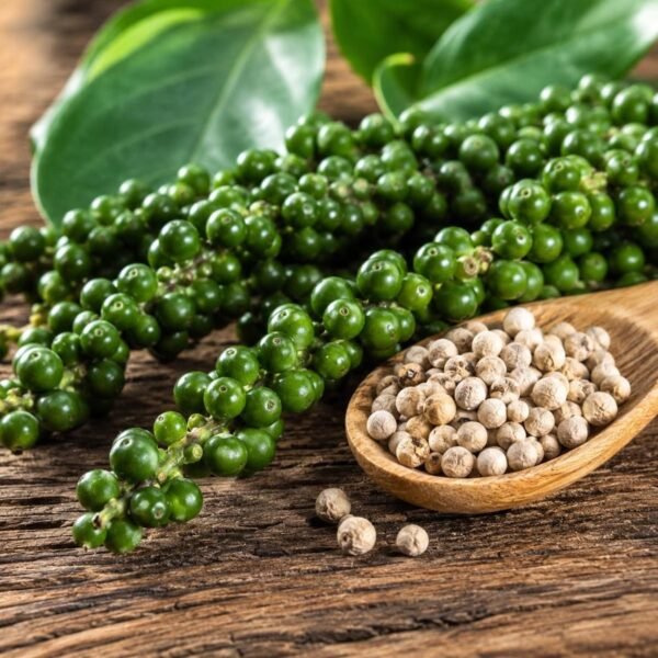 Penja Green Pepper